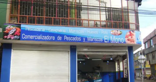 COMERCIALIZADORA DE PESCADOS COMERCIALIZADORA DE PESCADOS